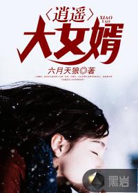 逍遥女婿主角王城
